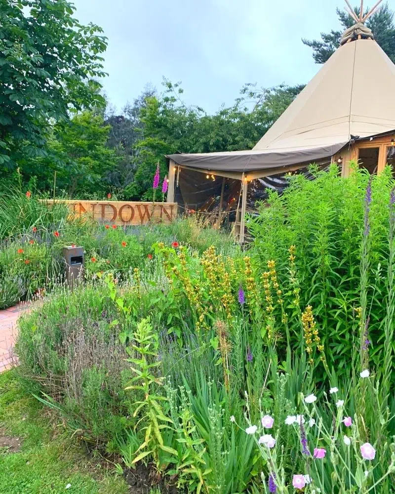 Teepee surrounded by lush grass and colourful flosers