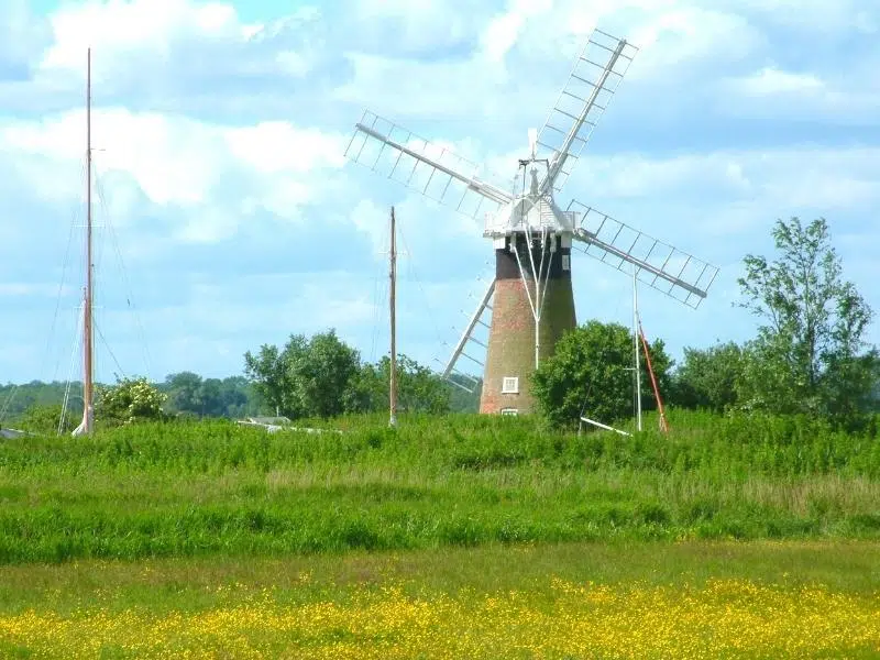 Red brick windmill with white wooden sails in a grassy field with yellow flowers