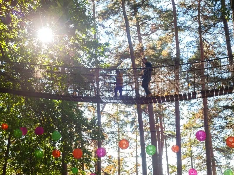 man and child crossing rope bridge surrounded by trees and chinese lanterns