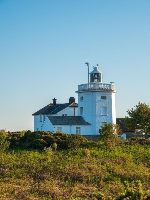 A squat white lighthouse against a blue sky with green bushes in the foreground.