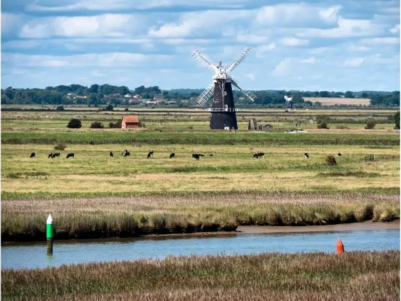 A black and white windmill in the distance across a river and salt marshes, with cows in a field.