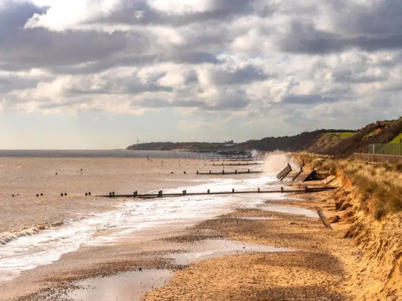 a windswept beach with wooden groynes and a low cliff
