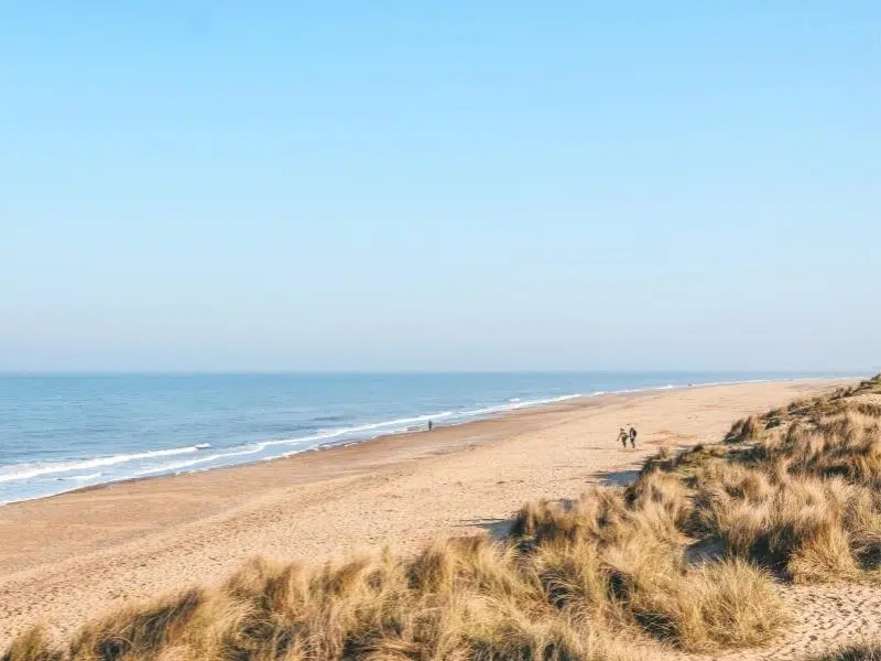 Long sandy beach with grassy dunes and people walking