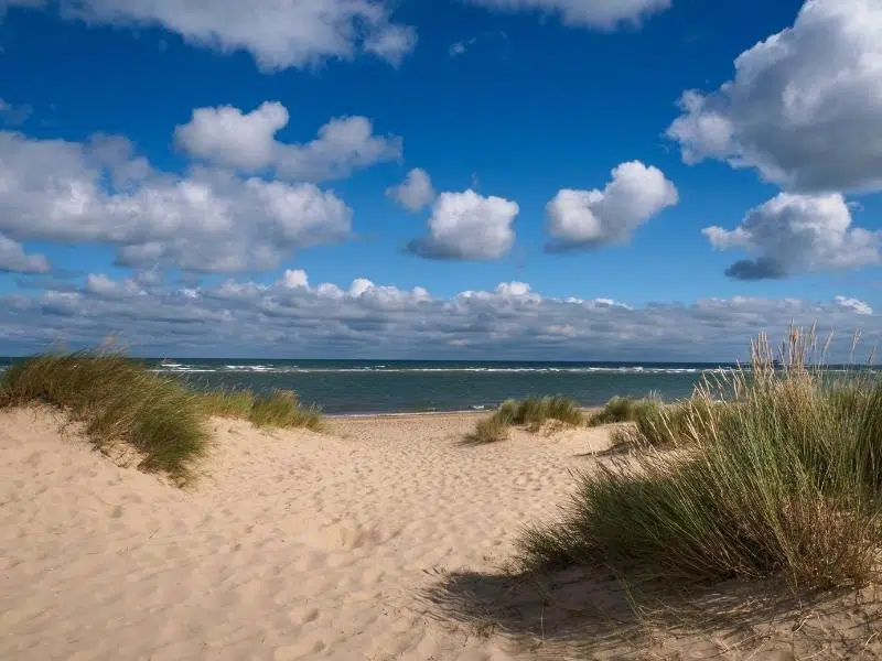 Sandy beach with small sand dunes and grasses, with green sea and cloudy blue sky in the background