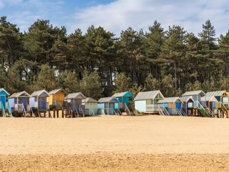 raised and painted beach huts on a sandy beach with a backdrop of pine trees