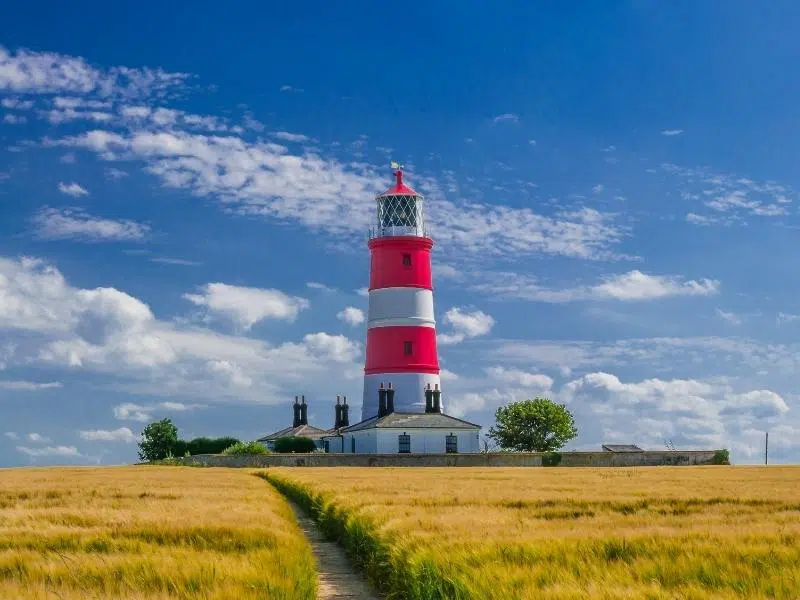 red and white striped lighthouse with small white cottages in a field of wheat with a path through
