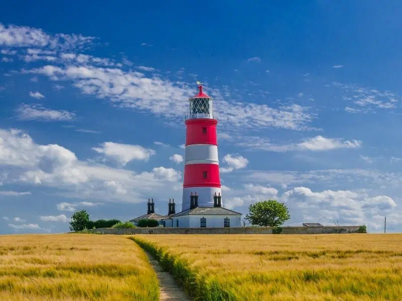 red and white lighthouse in a field of grasses