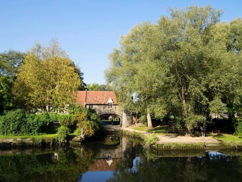 reflections of trees and a historic building in a river