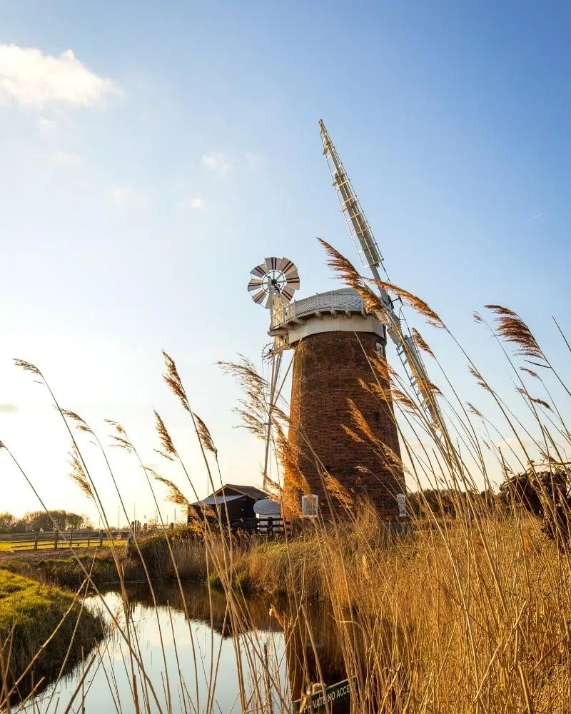 red brisk windmill with white sails seen through water reeds