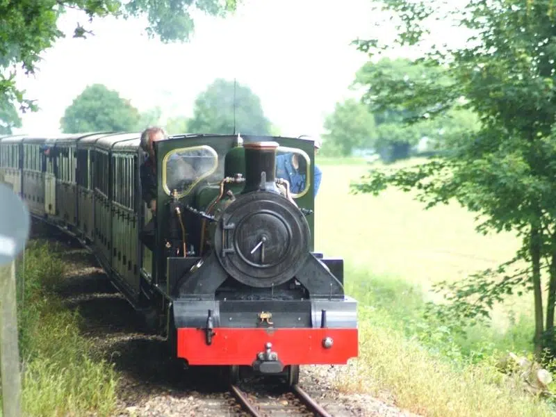 small steam train surrounded by green trees and fields