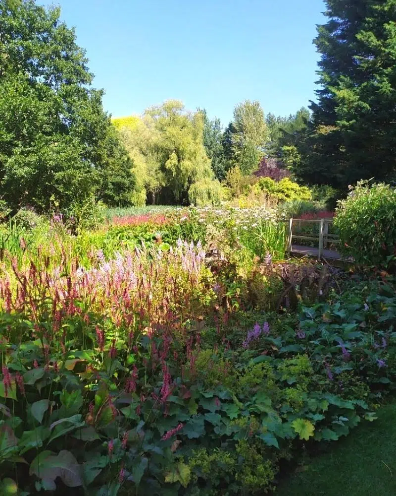 Colourful gardens with a pond and bridge