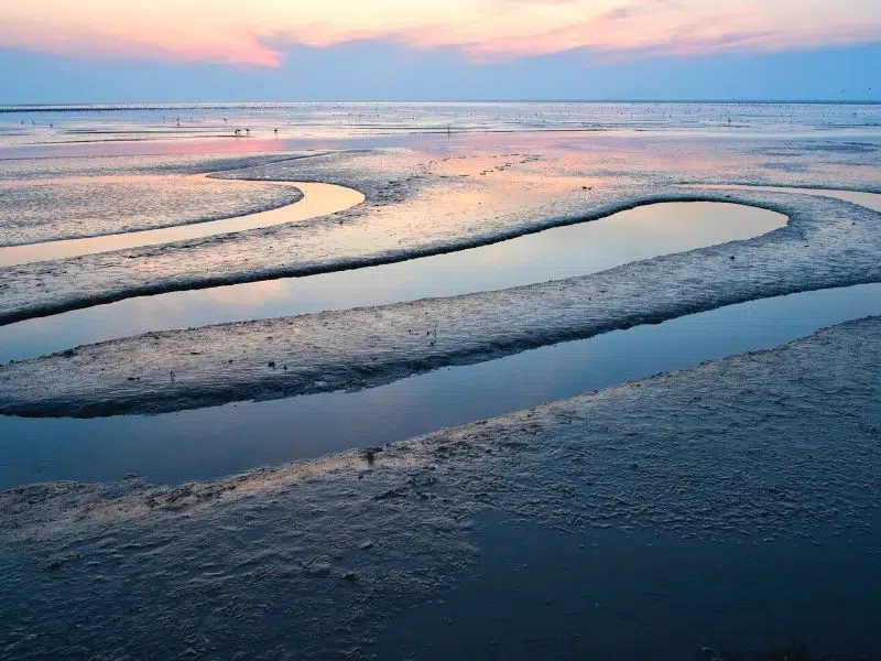 Vast expanse of beach and mud flats with a pink sky and sea in the distance