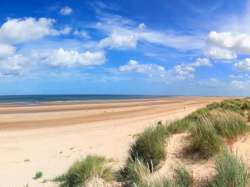 Long sandy beach backed by grassy sand dunes and blue sky