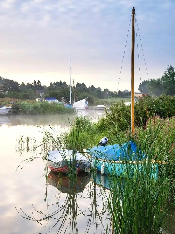 colourful boats moored between reeds and grasses 