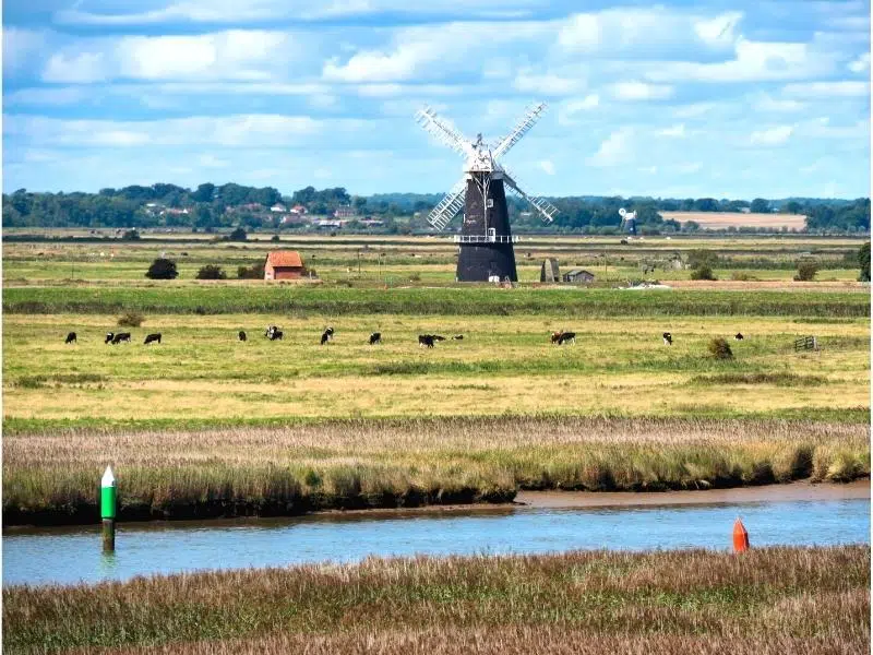 View across a blue river and green fields with cows grazing, to a black windmill with white sails in the distance