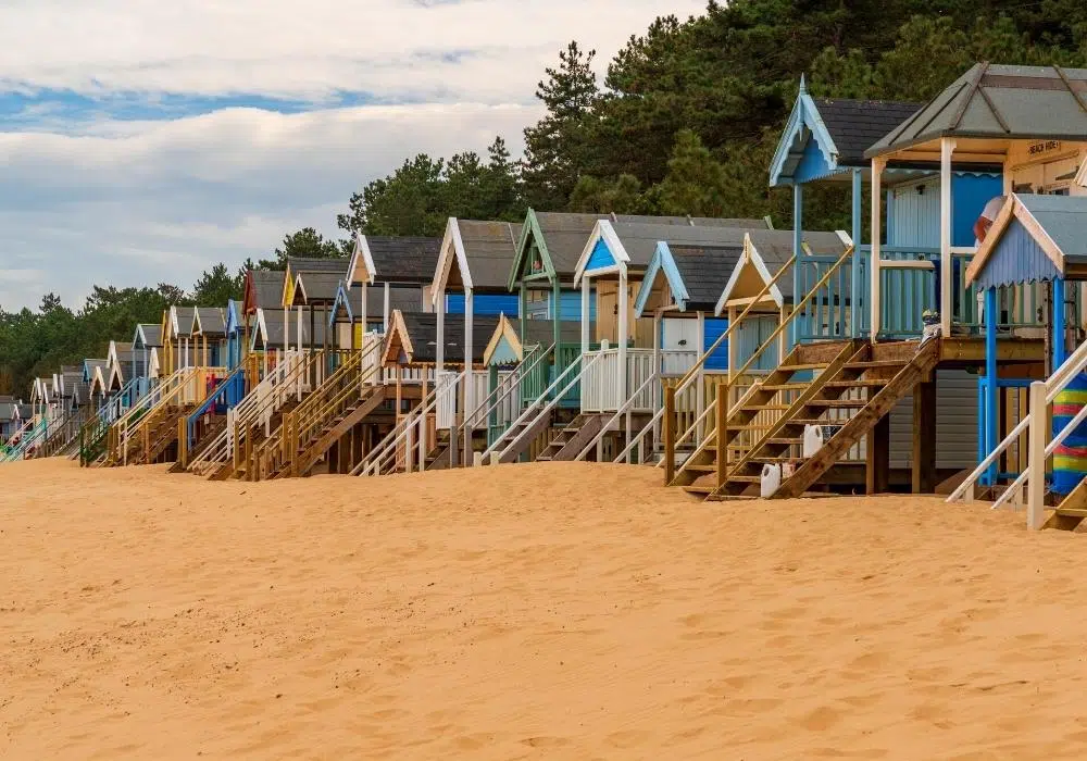 long row of colourful wodden beach huts with stairs, on a sandy beach backed by pine trees