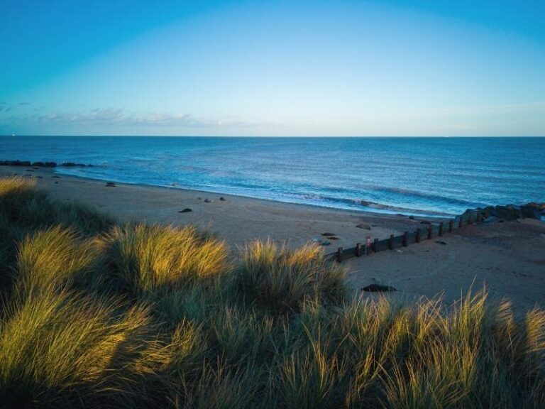 Seals in Norfolk - Where & How to See Them | Written by a Local