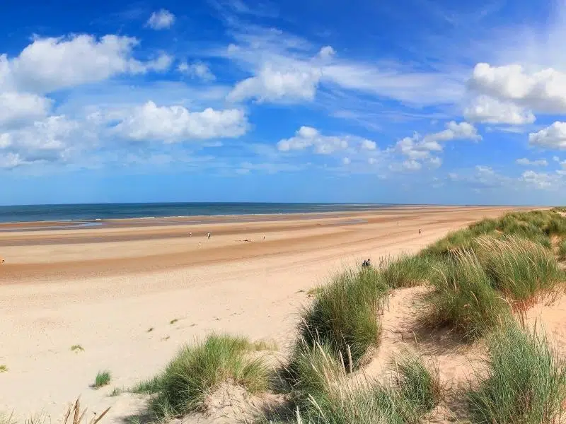 Vast sandy beach backed by grassy sand dunes