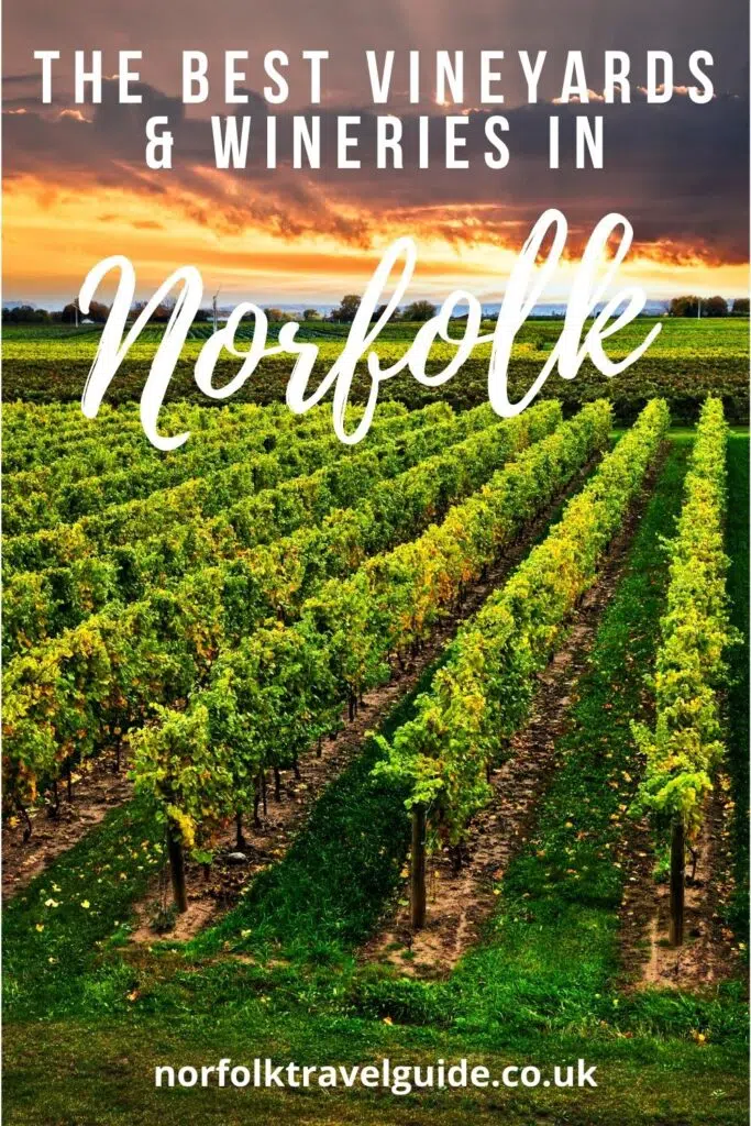 English vineyard tours in Norfolk