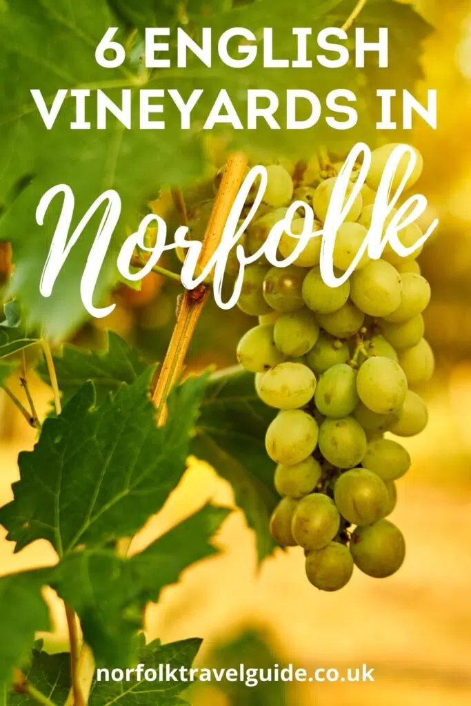 wineries in Norfolk England