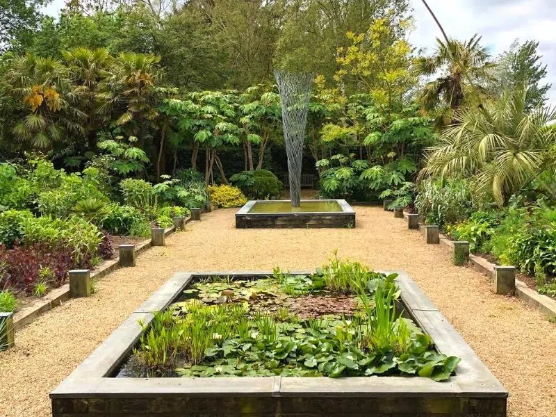 Modern sculpture in a pond surrounded by tropical plants and a gravel pathway