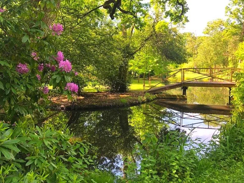 gardens to visit in norfolk