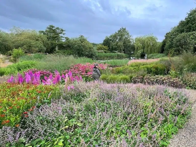 prarie planting in a large garden with pink flowers and gravel paths