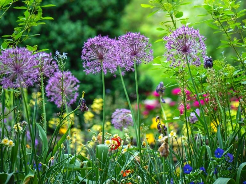 gardens in Norfolk England