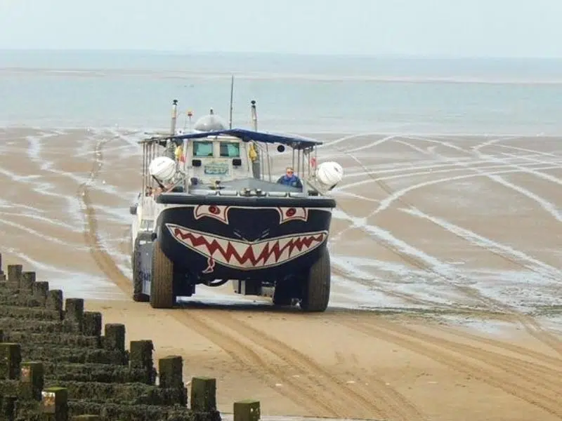 Hunstanton seal trip