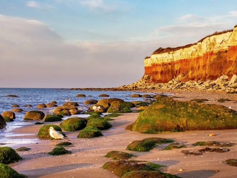 red and white stripey cliffs above Hunstanton Beach