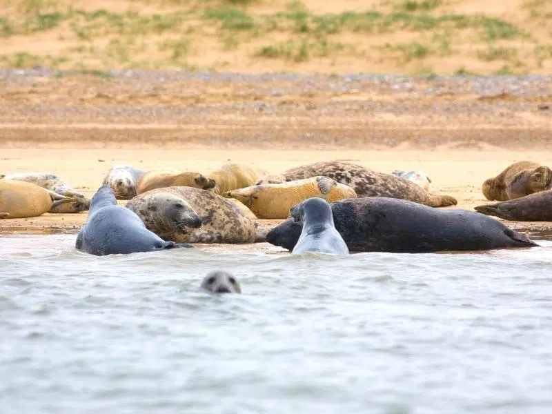 places to visit in north norfolk coast