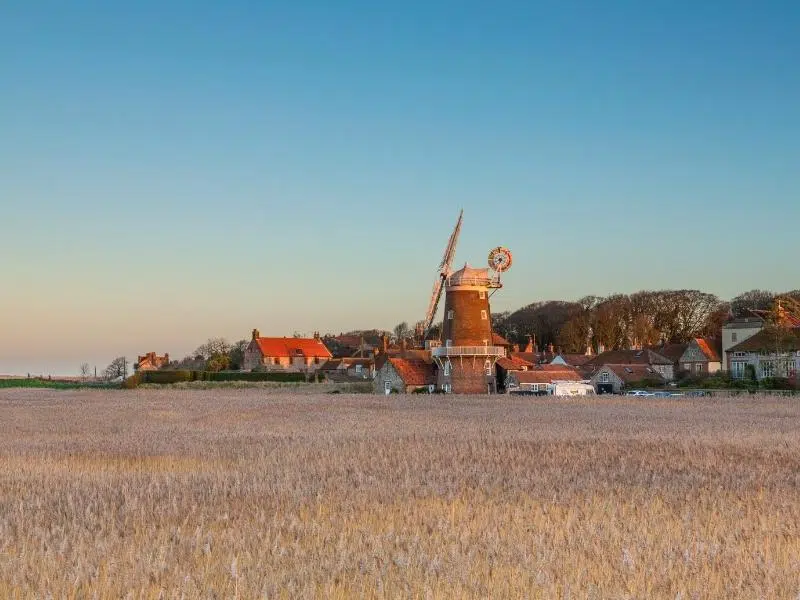 View across a corn field to Cley windmill and village