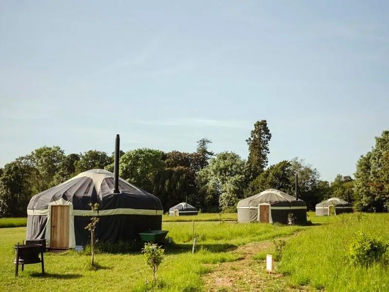 Yurts with metal chimeys and firepits in grassy field