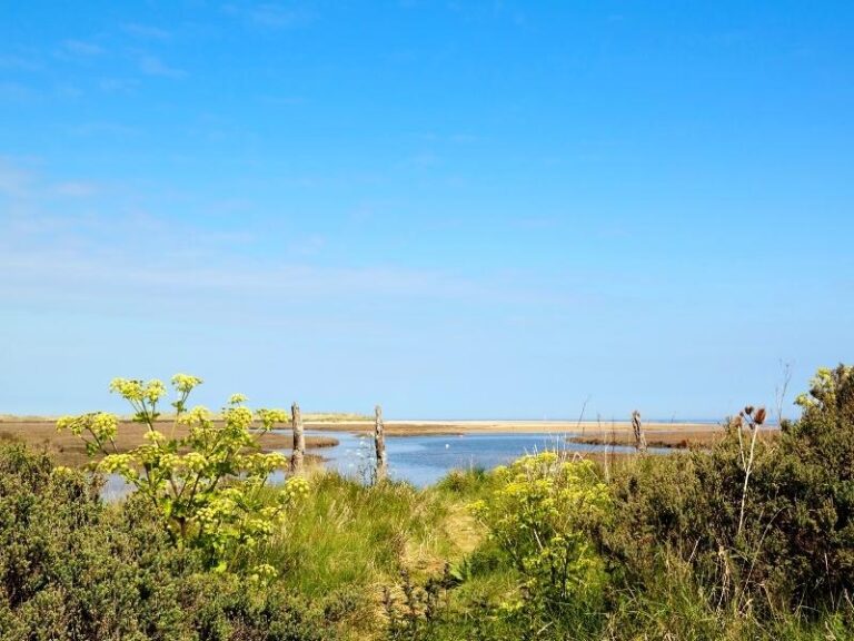 Walks In Norfolk 14 Of The Best Trails Written By A Local walks-in-norfolk-14-of-the-best-trails-written-by-a-local