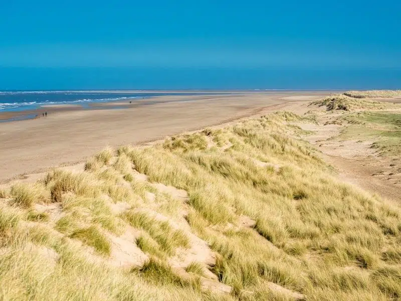 Sand dunes on a Norfolk beach