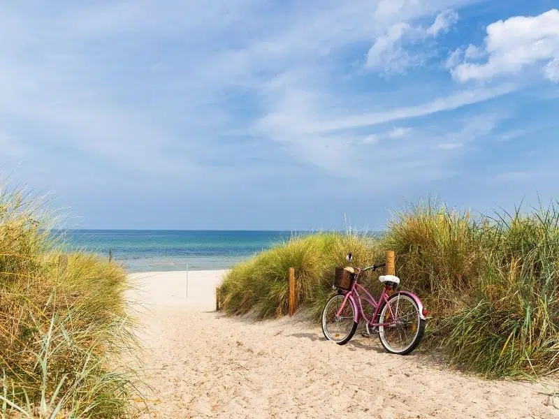 Pink bicyle resting against grasses and dunes on a sandy beach