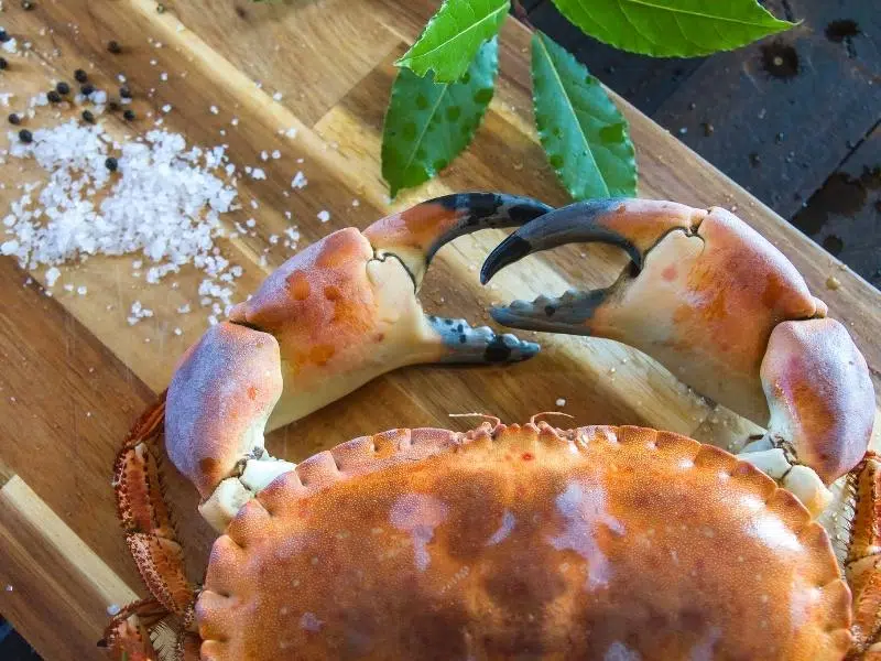 Brown crab on a chopping board