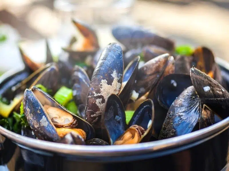 A plate of cooked mussels in shells