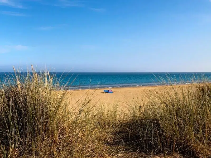 Golden sands, blue sky and sacnd dunas at Winterton-on-Sea beach.
