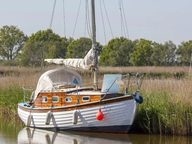 broads tours boat trip