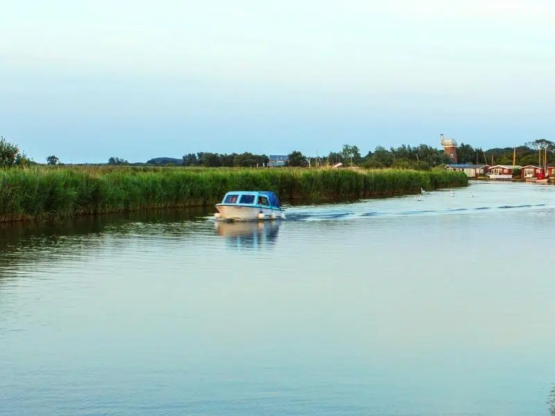 A small day boat on a broad in Norfolk, with gree rushes, a windmill in the background and clear skies