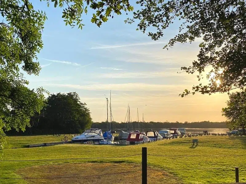 boats moored in a staithe on the Norfolk Broads