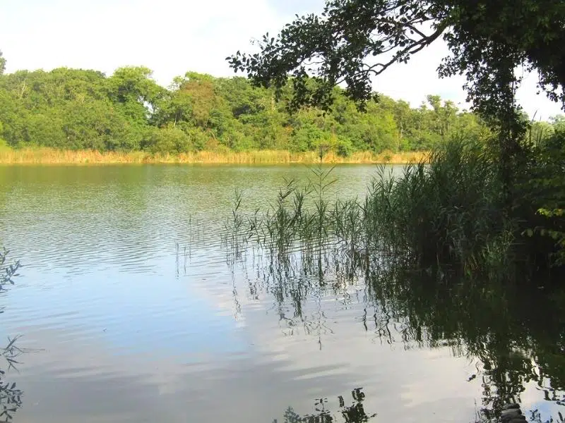 boat trip in wroxham