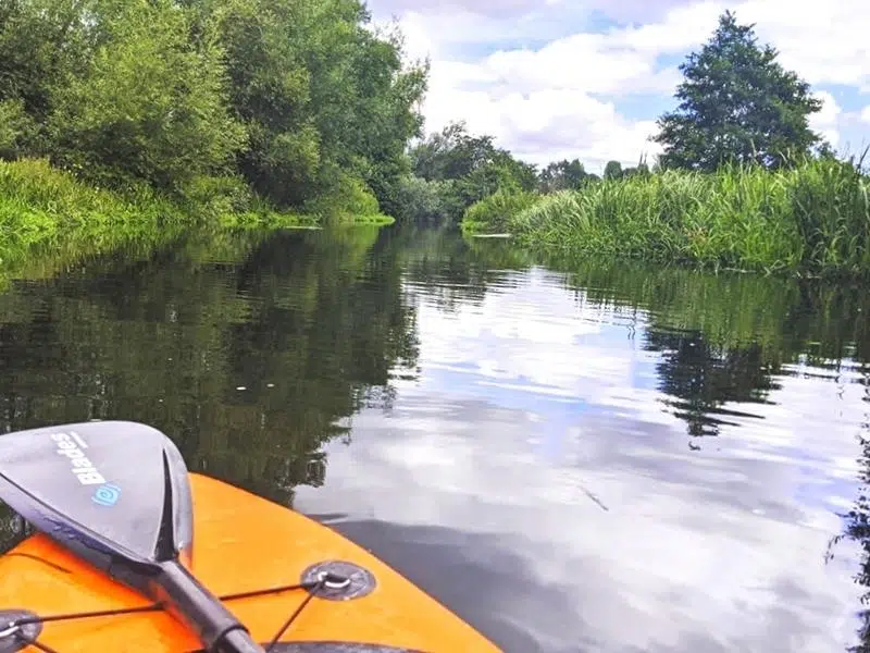 broads tours boat trip