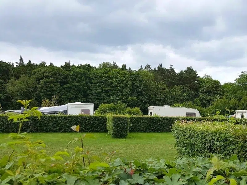 motorhomes and campervans camping behind hedges