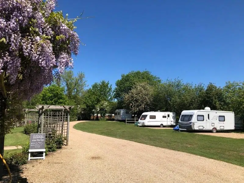 Campsite with wisteria and caravans on grass