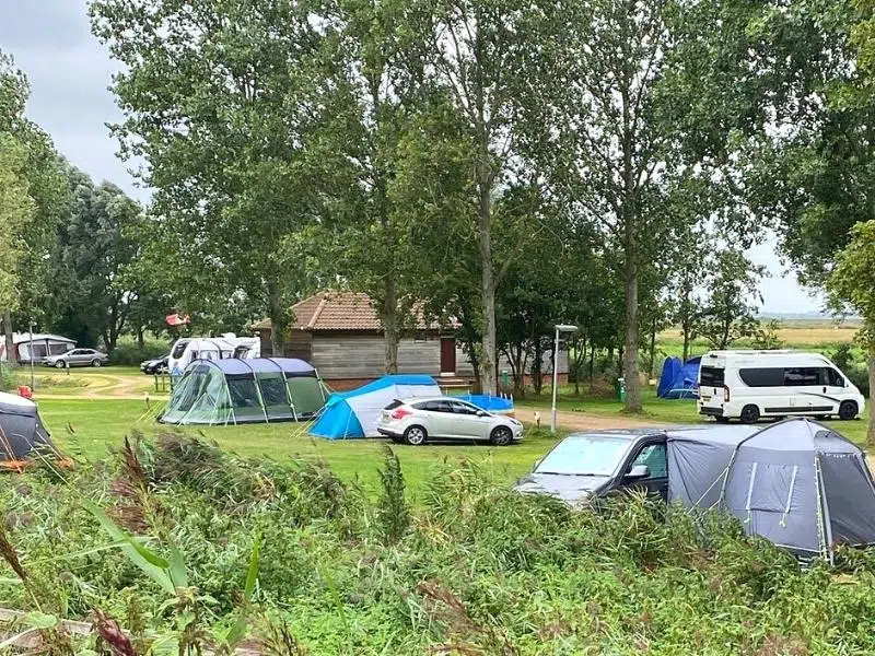 Tents and campervans camping under trees