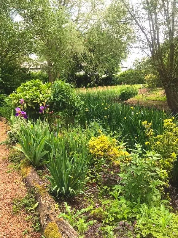 gardens with trees and a stream