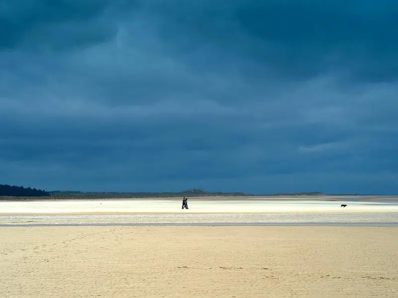 Dog walking at Holkham Bay Norfolk