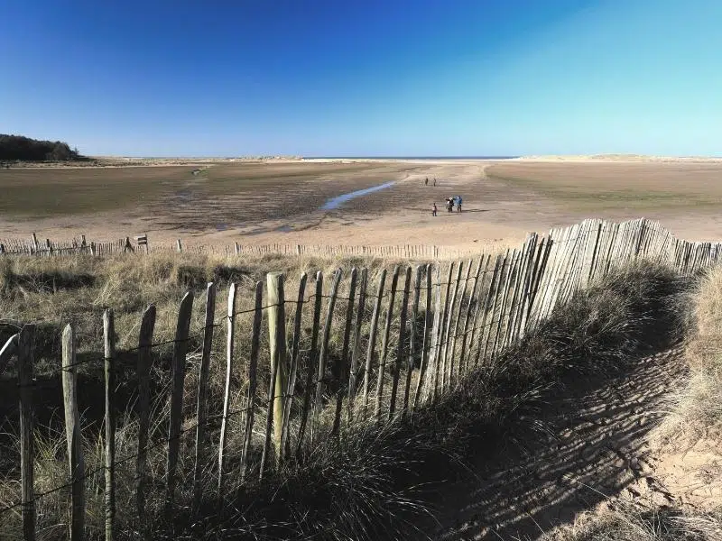 Holkham beach views as you arrive from the boardwalk, with mud flats in front and dunes in the far distance